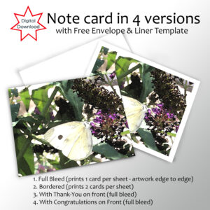 Cabbage White Butterfly printable note card