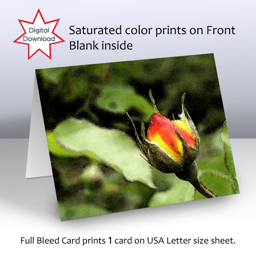 Rosebud Printable Greeting Card – Alicia Heyman Studio