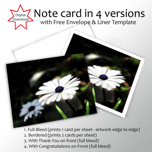 White Daisies floral note card, greeting card